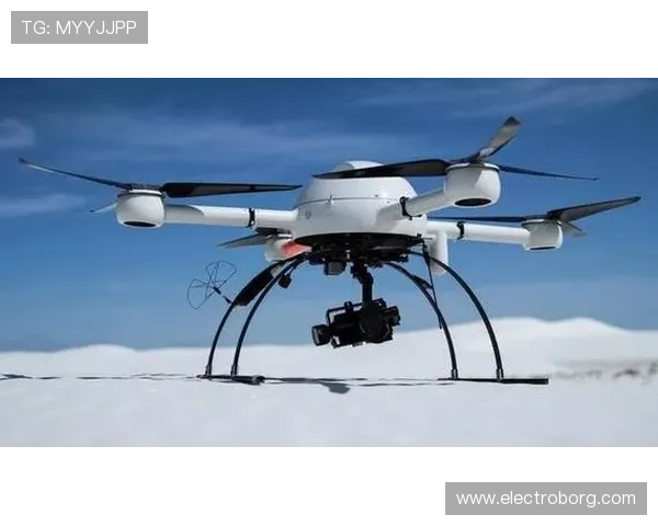 凯时体育官网平台:专业技术保障用户资金与信息安全