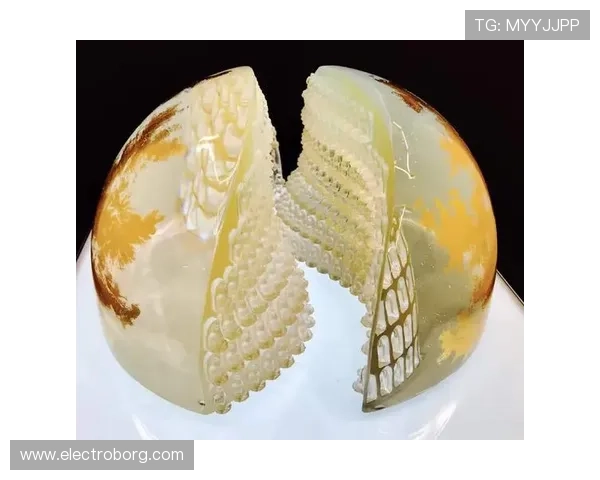 尊龙凯时人生就是拼搏：成功人士的奋斗经验分享，助你实现职业目标